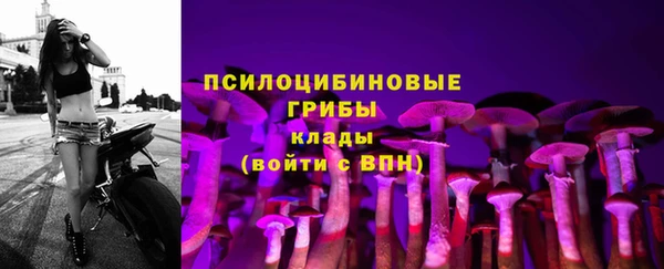 ГАЛЛЮЦИНОГЕННЫЕ ГРИБЫ Лабытнанги