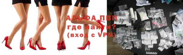 ГАЛЛЮЦИНОГЕННЫЕ ГРИБЫ Лабытнанги