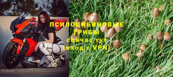 шишки Лагань