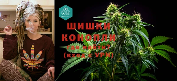 шишки Лагань