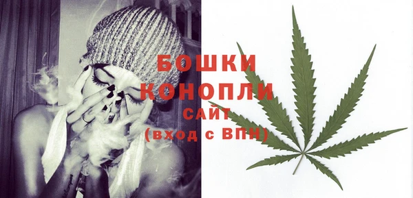 ГАЛЛЮЦИНОГЕННЫЕ ГРИБЫ Лабытнанги