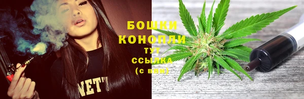 шишки Лагань