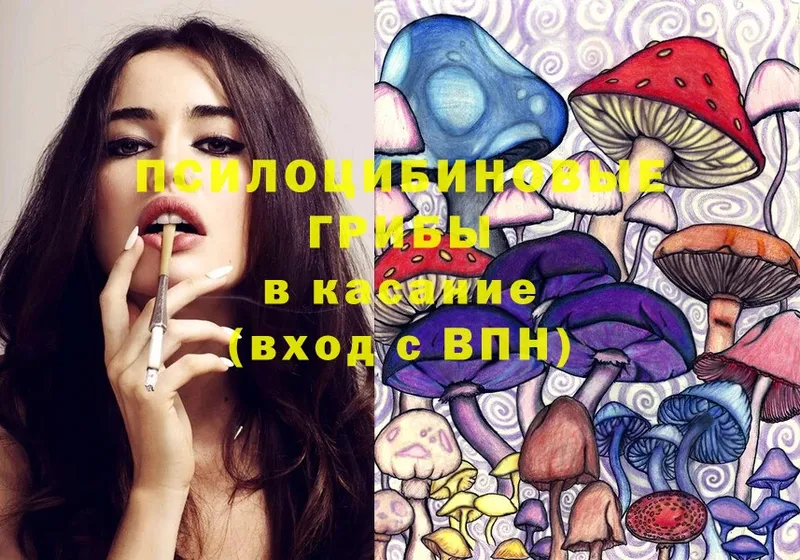 Галлюциногенные грибы Psilocybe  наркотики  Люберцы 