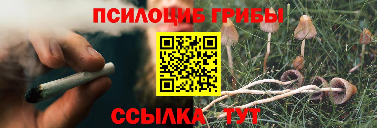 Галлюциногенные грибы GOLDEN TEACHER Люберцы